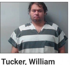 Tucker, William